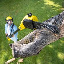 Best Pest Control for Lawns  in Forest Park, OH